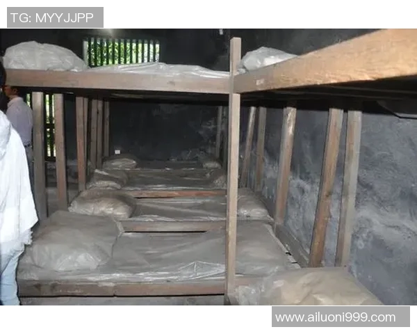 天主青年与萨斯菲历史的交汇与碰撞探讨