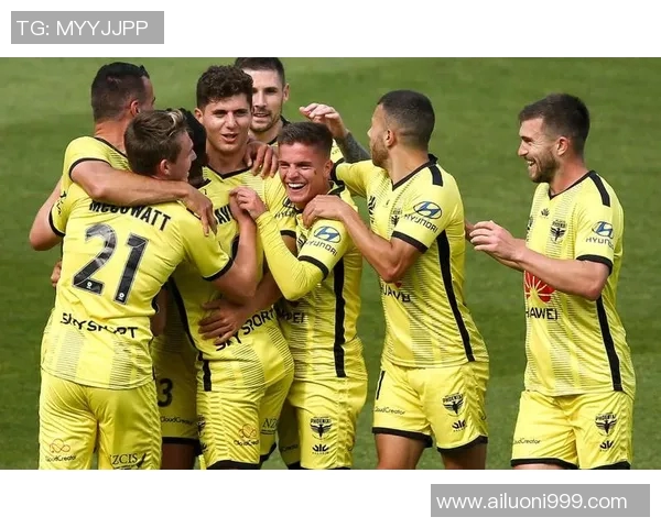 悉尼与惠灵顿凤凰的精彩对决比分揭晓，赛季战况分析与未来展望