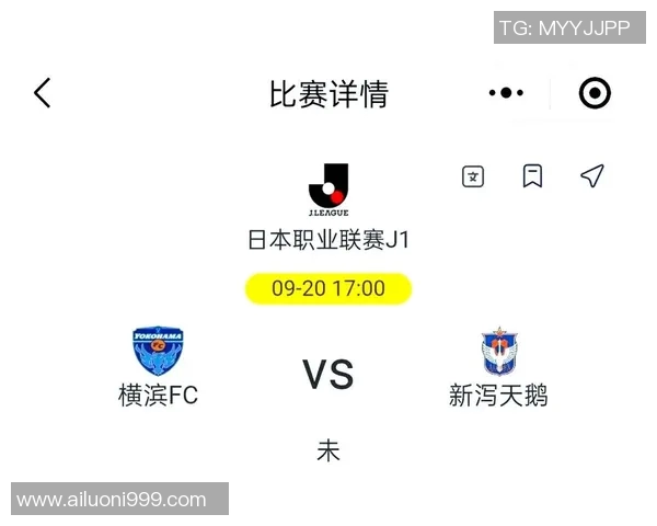 横滨税收与新泻天鹅的对决分析及其影响探讨