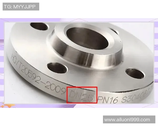 FS法兰与卡尔斯的全面对比分析及市场前景探讨